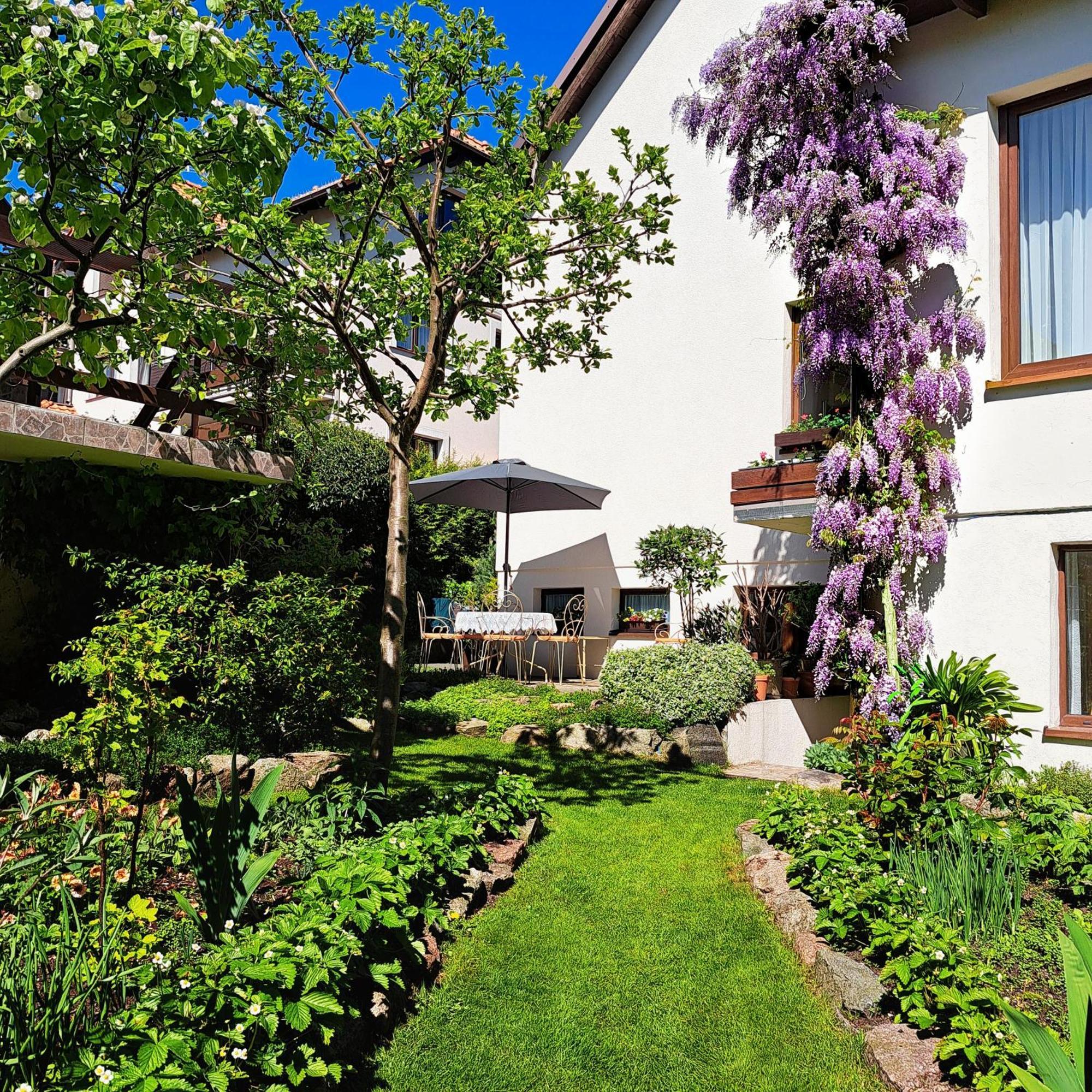 Anka Villa Władysławowo Exteriör bild